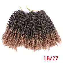 10 Inch Curly African Crochet Hair | LA BELLE DANOISE
