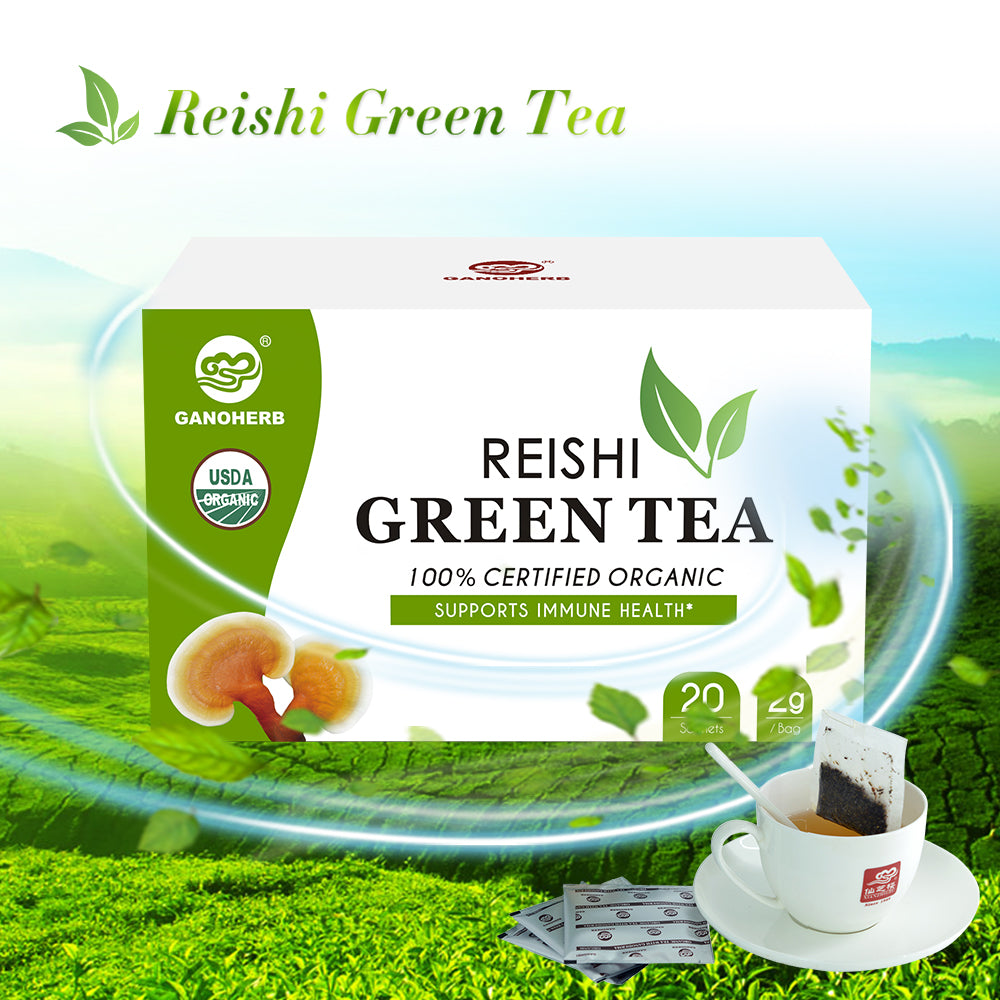 240 Free Sample OEM 240 Wholesale 100% Organic reishi Mushroom 240 240