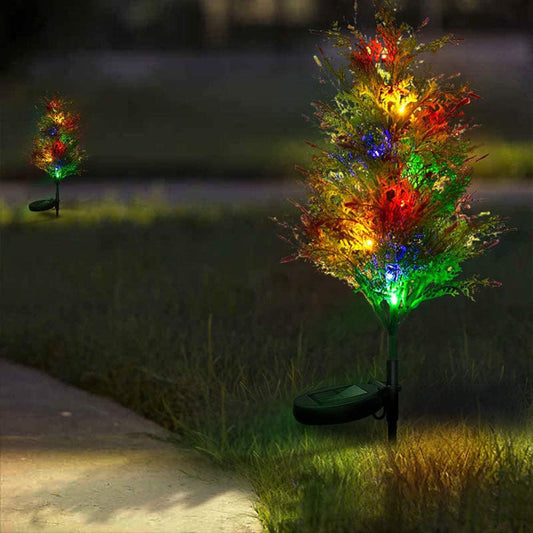 Solar-powered Christmas lights illuminating pine and cypress trees.