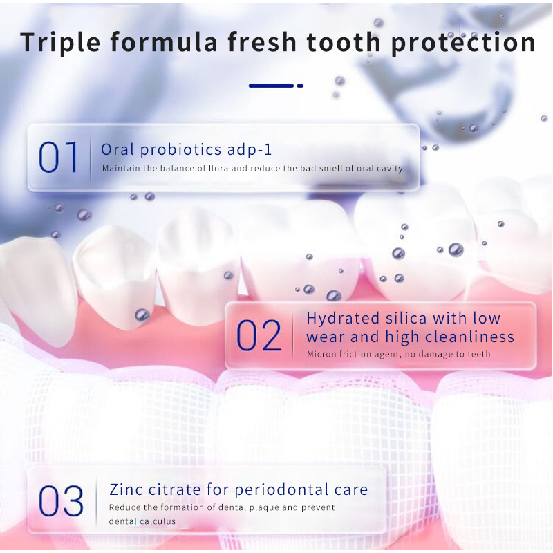 Probiotic Toothpaste 100g everyday oral hygiene toothpaste with refreshing mint profile